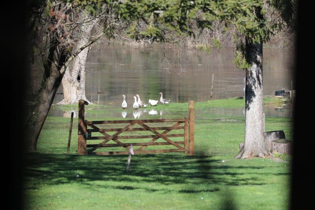 Le Ponton Des Sympetrums Aurec-Sur-Loire Eksteriør billede